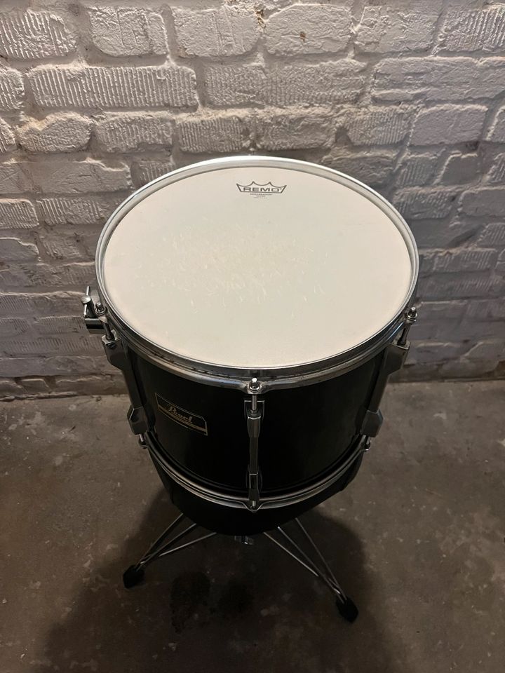 Pearl Export 13“ Tom in Wienburg