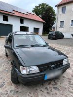 Ford Fiesta mk3 TÜV 08.2025 läuft ohne Probleme Sachsen-Anhalt - Salzwedel Vorschau