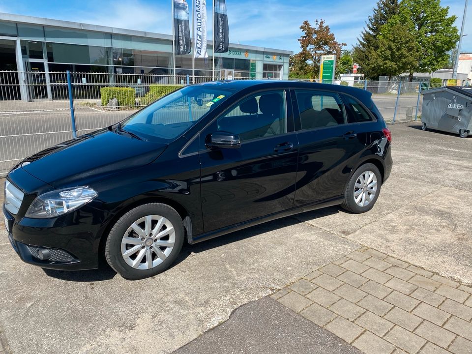 Mercedes B180 in Friedrichshafen