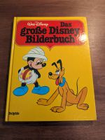 Walt Disney "Das große Disney Bilderbuch" Delphin Verlag Rarität Niedersachsen - Braunschweig Vorschau
