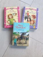 Bücher 3 Pferde Geschichten Nordrhein-Westfalen - Morsbach Vorschau