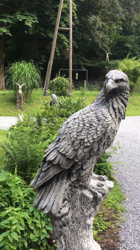 ‼️Adler 100kg 106cm Steinadler Seeadler Greifvogel Eagle Harley‼️ in Düsseldorf