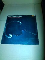 Joan Armatrading LP Vinyl Nordrhein-Westfalen - Extertal Vorschau