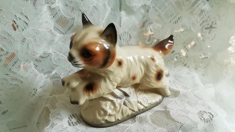 ❤️Vintage Katze Figur Porzellan Midcentury Sammler❤️ in Braunschweig