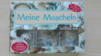 Muscheln Album Sachbuch Muschel Sammelkiste nagelneu Bayern - Augsburg Vorschau