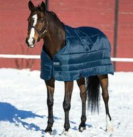 Liner, Unterdecke 100g, 200g, 300g, Fleece  oder Airmex Horseware für Regendecke Pferdedecke Amigo Bravo, Rhino, Rambo 125,130,140,145,155,160 Nordrhein-Westfalen - Kempen Vorschau