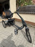 Dreirad e-Bike van Raam Easy Rider 3 Hessen - Pfungstadt Vorschau
