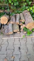 Holz vom Apfelbaum Baden-Württemberg - Waiblingen Vorschau