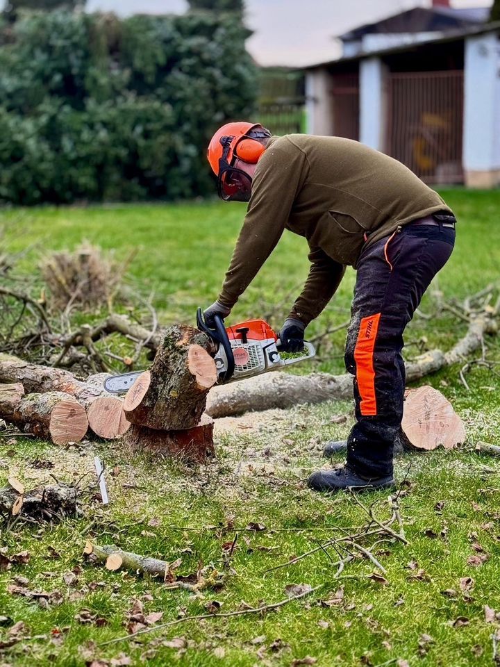 ❌ Hausmeister Hausmeisterservice Gartenbau ❌ in Borna