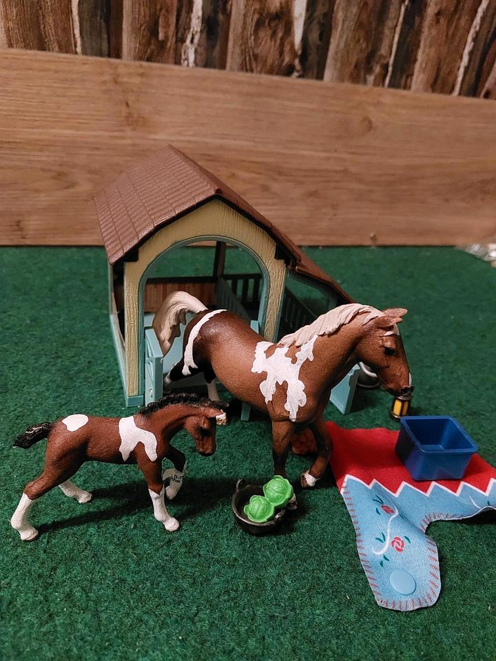 Schleich Pferd Fohlen Stall Zubehör in Handorf