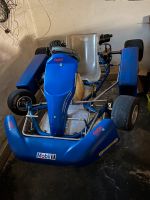 Rennkart Iame Motor 100ccm Bayern - Ebermannsdorf Vorschau