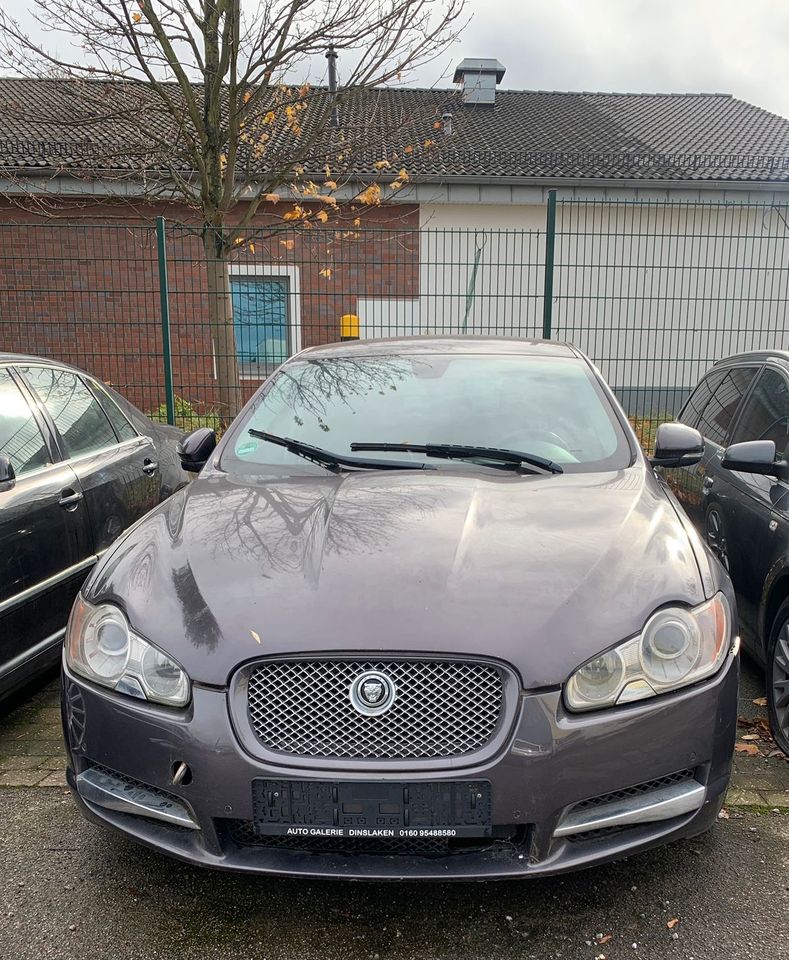 Jaguar XF 250 3.0 V6 Diesel Luxury,Leder,Navi,Alu in Essen