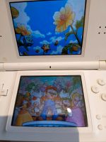 Nintendo 3 DS Lite Nordrhein-Westfalen - Barntrup Vorschau