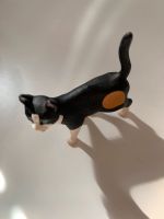 Schleich Tip Toi Katze Nordrhein-Westfalen - Bergheim Vorschau