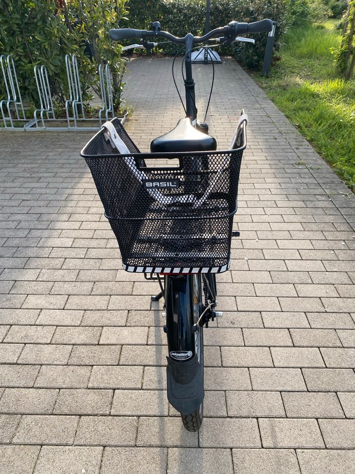 Mädchenfahrrad Pegasus Avanti 7 - 26 Zoll in Ludwigshafen