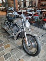 Harley Davidson 100 Jahre Edition Sachsen-Anhalt - Tangermünde Vorschau