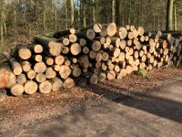 Brennholz Feuerholz Stammholz LKW frei Hof RM Eiche Esche Birke Niedersachsen - Harpstedt Vorschau