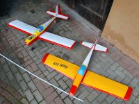 RC Flugzeug Flieger 2x Rheinland-Pfalz - Kirn Vorschau