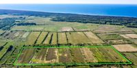 Blaubeer Plantage an der polnischen Ostsee zu verkaufen Nordrhein-Westfalen - Hagen Vorschau