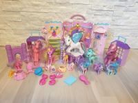 Mein Little Pony Sammlung Mein kleines Pony Spielzeug Hessen - Hirzenhain Vorschau