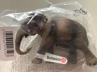 Schleich Elefant asiatisch OV Nürnberg (Mittelfr) - Nordstadt Vorschau