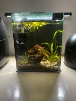 Nano Aquarium ca 16 L Baden-Württemberg - Heitersheim Vorschau