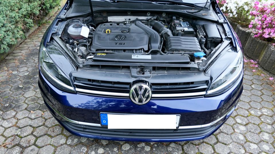 VW Golf 7 TSI ACT 1.5 (150 PS/Bj2018/AHK/NAVI/ACC/Reifen SoWi in Wachtberg