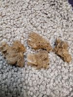 Mineralien Wüstenrosen/Sandrose Bayern - Wunsiedel Vorschau