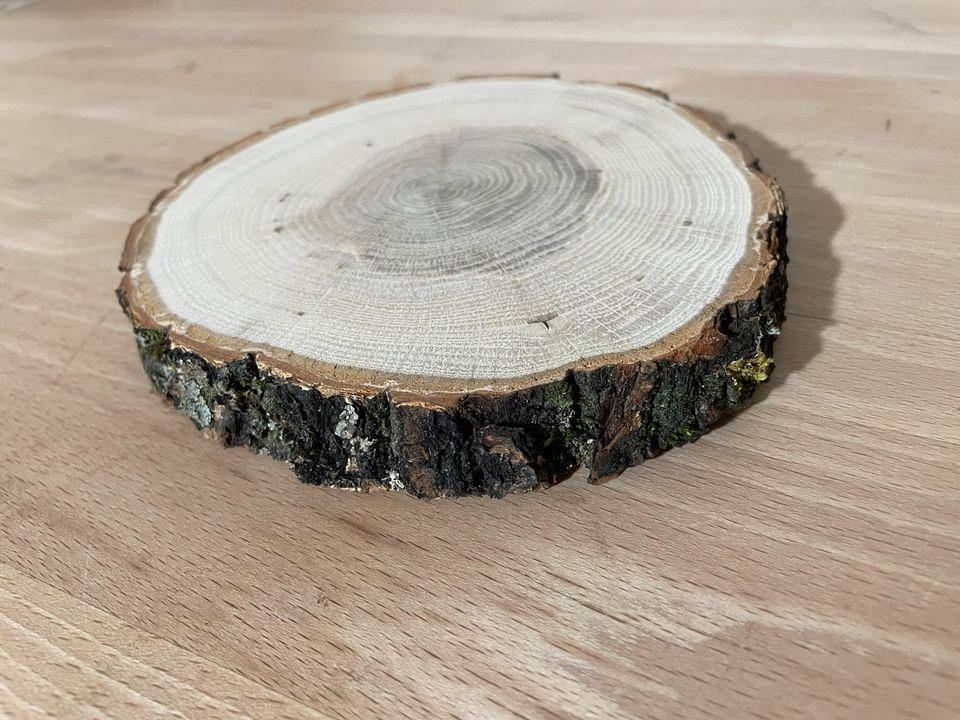 Eichen Baumscheiben Holzscheiben in Ehingen Mittelfr