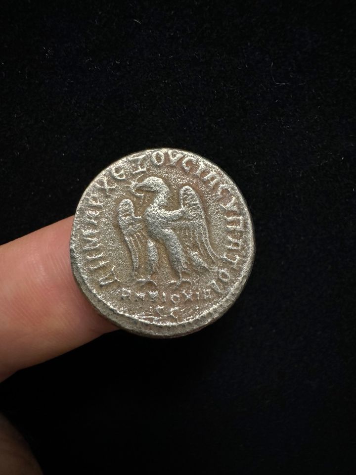 Münzen Tetradrachme in Meerbusch