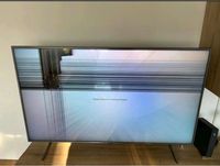 Samsung QLED TV (55 Zoll) Display defekt/ Bastlergerät Baden-Württemberg - Magstadt Vorschau