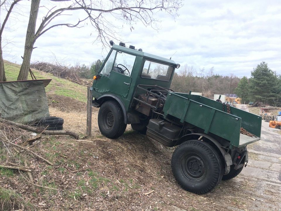 Trenkle Tremo UNIMOG 421 Schmalspur Mehrzweckfahrzeug LKW Traktor in Ketzin/Havel