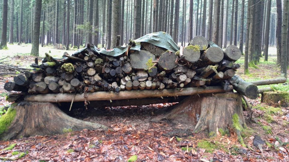 Brennholz, Meter, Fichte, Buche, Bruch in Furth im Wald