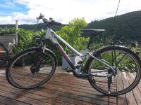 Bergamont Jugendfahrrad 26 Zoll Rheinland-Pfalz - Thörnich Vorschau