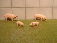 Schleich Bauernhoftiere Schweine Rheinland-Pfalz - Zweibrücken Vorschau