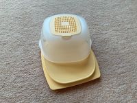 Tupperware Mini Käse Max, NEU Hessen - Hanau Vorschau