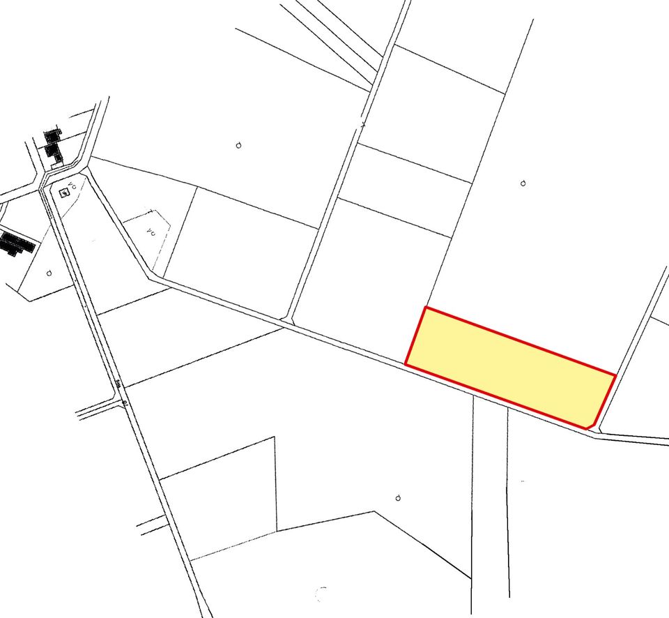 Waldfläche in Korschenbroich in Korschenbroich