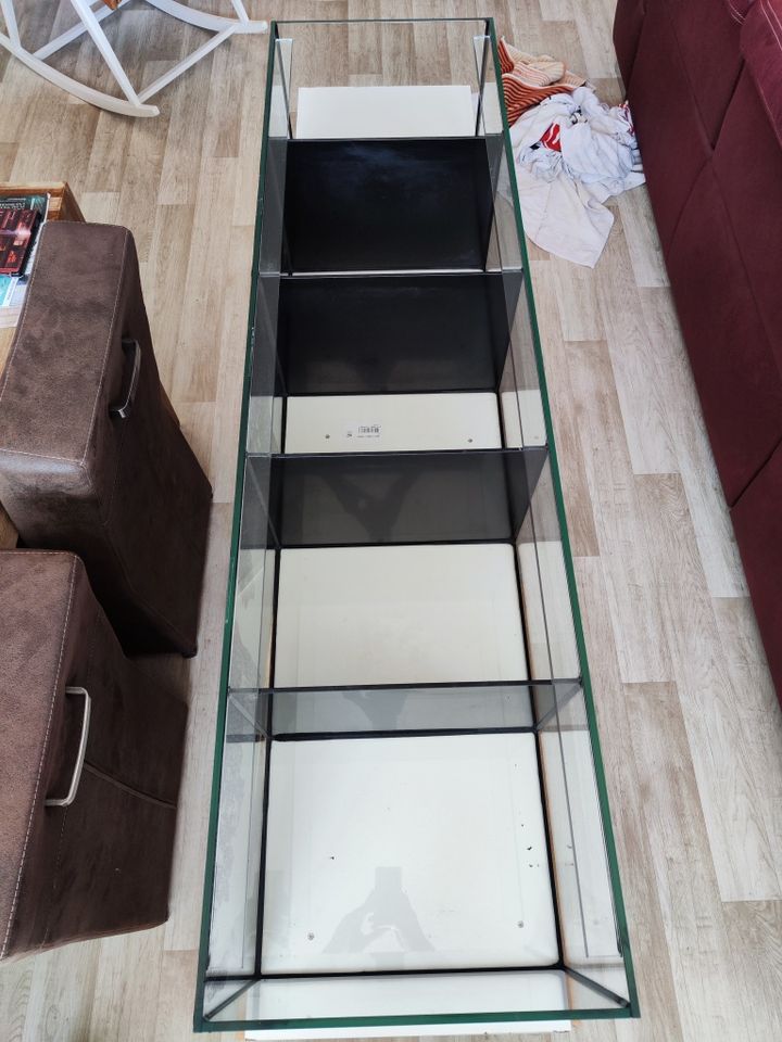 Aquarium Kampffisch 150 x 40 x 30 mit 5 Kammern in Machern