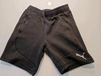 Puma Sporthose Short Größe S Hessen - Bensheim Vorschau