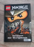 Ninjago 2 in 1 Buch Hessen - Alsfeld Vorschau