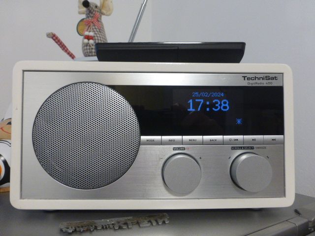 Internetradio TechniSat Digit 400 W in Großrosseln