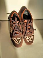 Neue GEOXschuhe Nürnberg (Mittelfr) - Großreuth b Schweinau Vorschau