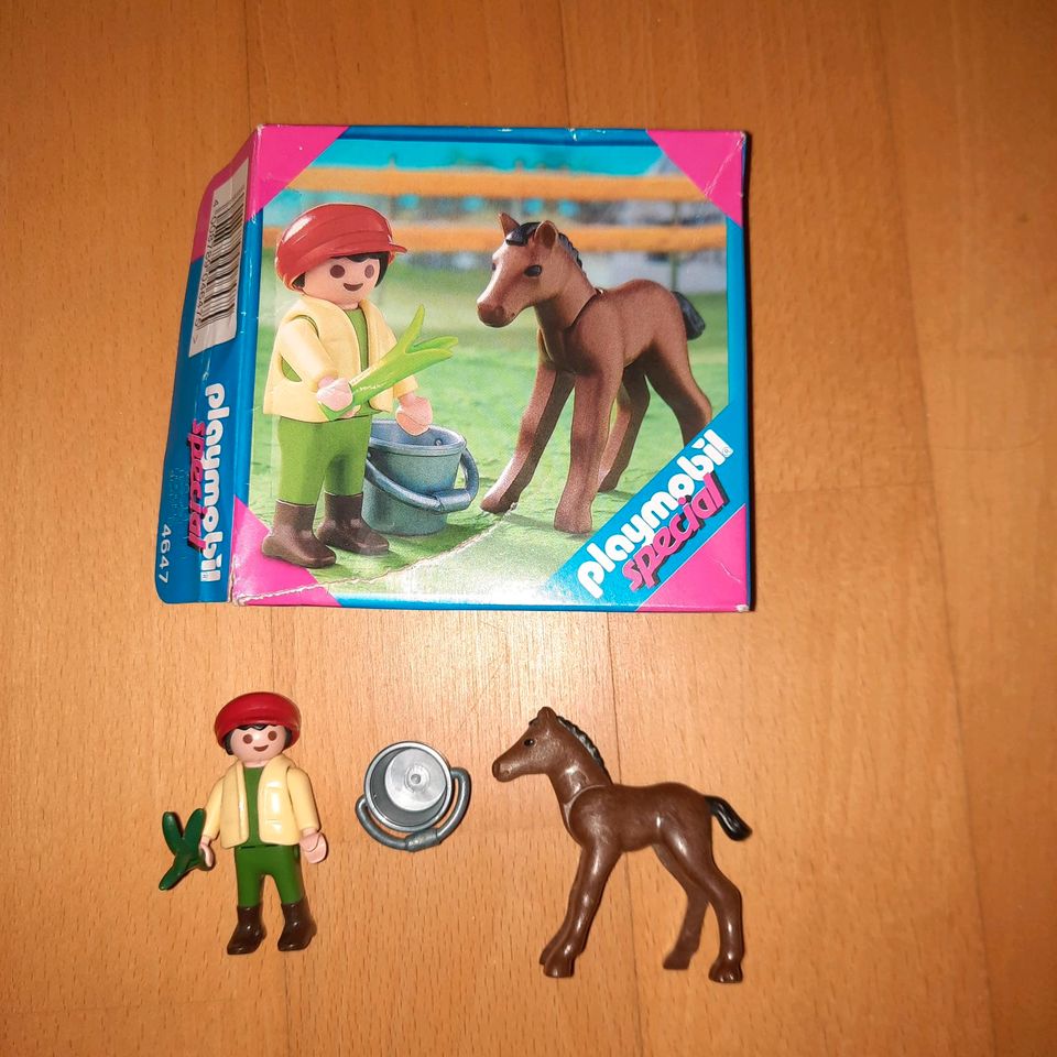 Playmobil 4647 Fohlen in Niedersachsen - Meinersen | Playmobil günstig  kaufen, gebraucht oder neu | eBay Kleinanzeigen ist jetzt Kleinanzeigen