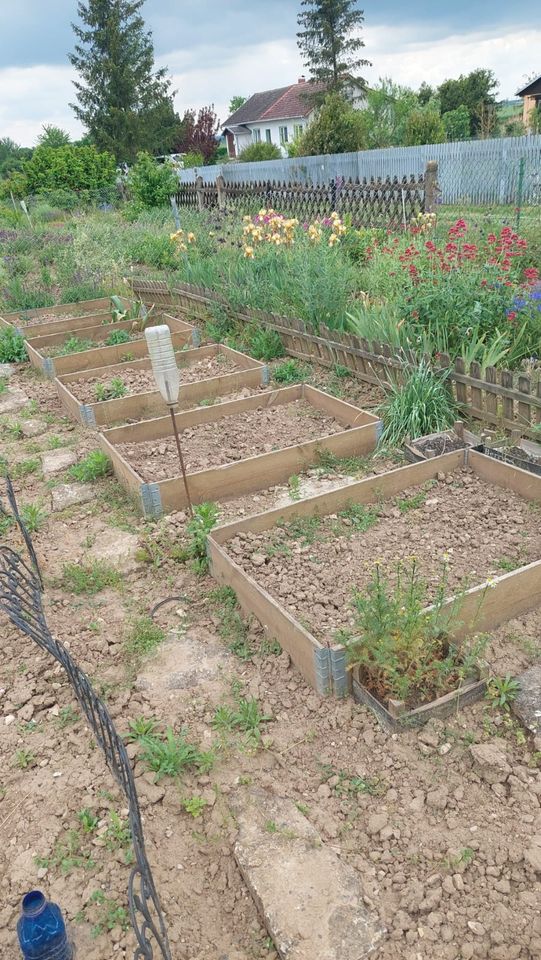 Kleingarten Gartenvereins Thüringer Pforte e.v in Oldisleben