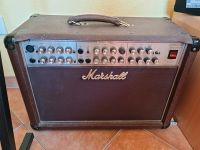 Marshall acoustic soloist AS80R Dortmund - Hombruch Vorschau