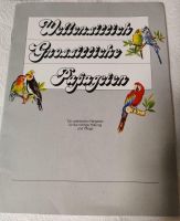 Wellensittiche Großsittiche/Papageien 28 Seiten 80er Hessen - Groß-Gerau Vorschau
