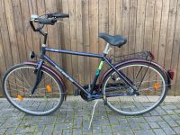 Fahrrad 28 Zoll Bayern - Betzenstein Vorschau