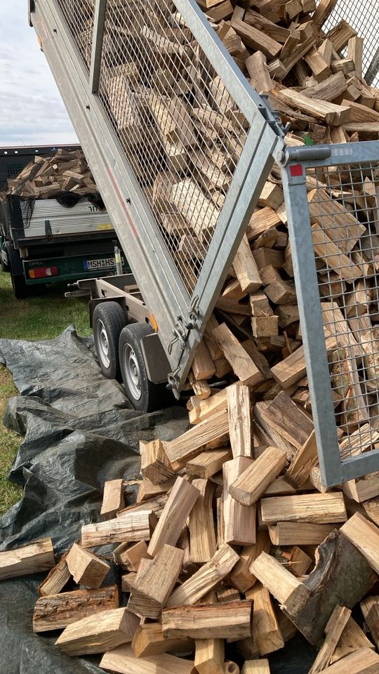 Kaminholz Feuerholz  Brennholz Nadelholz Buche Eiche Birke SRM ab in Allstedt