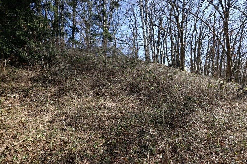 Baugrundstück mit Hanglage und Baumbestand, rechteckiger Zuschnitt, im Wochenendhausgebiet  Mehren14 in Mehren