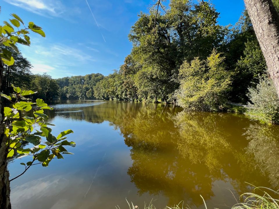 Traumhaftes Grundstück mit Altbestand am See in idyllischer Lage in Ebersberg